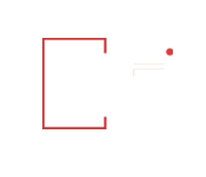 Client logo 11
